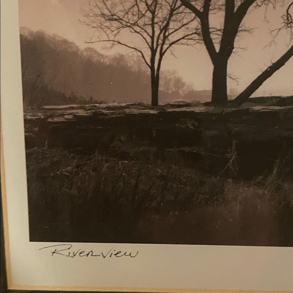 Richard Calvo Riverview Professional Framed Black and White Tree Photograph - Picture 2 of 10